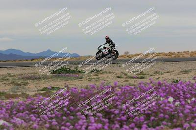 media/Jan-14-2023-SoCal Trackdays (Sat) [[497694156f]]/Turn 14 Exit Bloomig (145pm)/